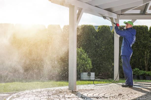 Best Solar Panel Cleaning  in Ortonville, MN